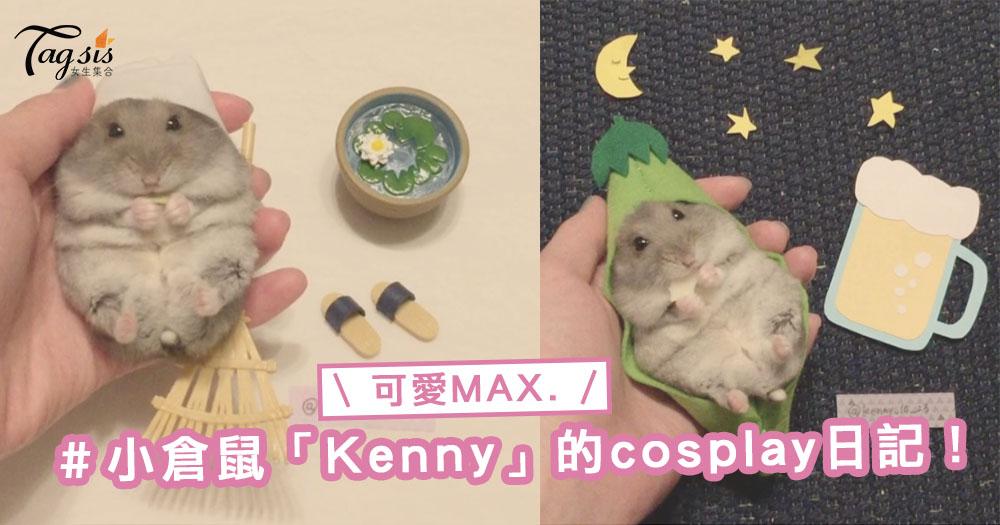 日本「Cosplay」小倉鼠Kenny就知道賣萌，一定能融化SIS你的心〜
