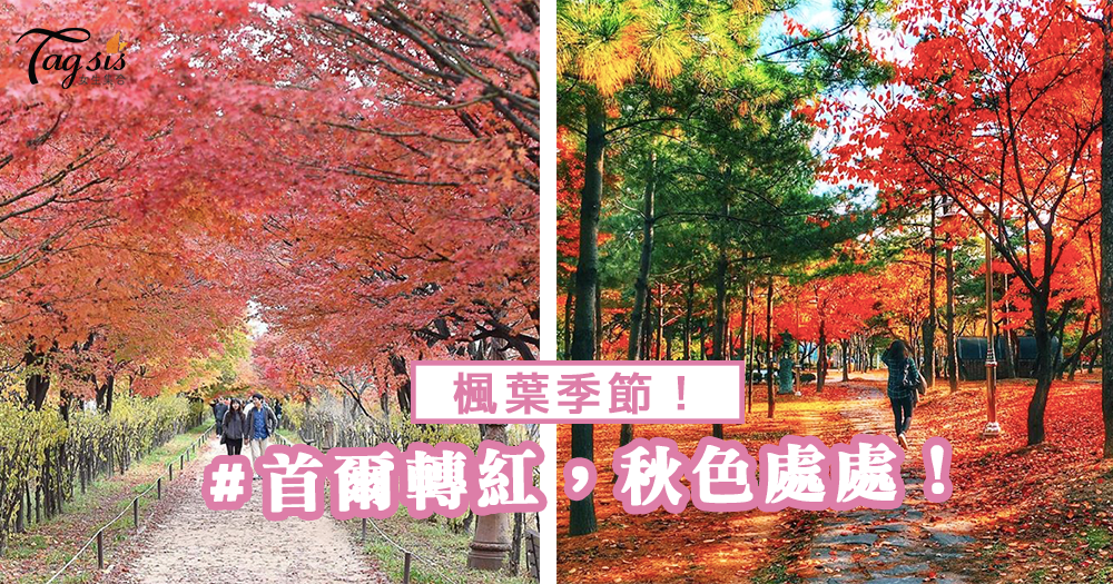 又到了浪漫的楓葉季節～首爾市區楓葉轉紅，秋色處處！立即起行楓葉之旅～