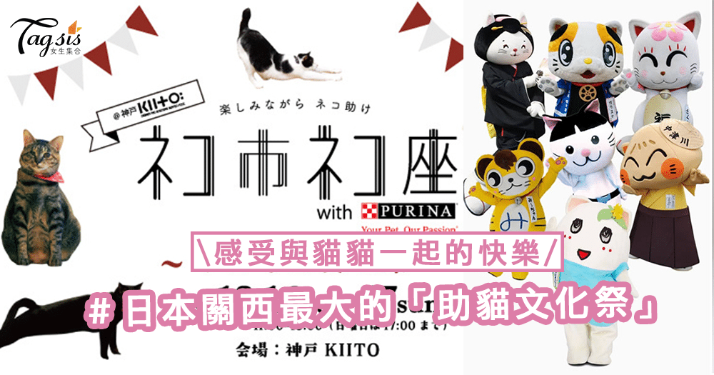 最愛喵星人！日本關西最大的「助貓文化祭」，感受與貓貓一起的快樂〜