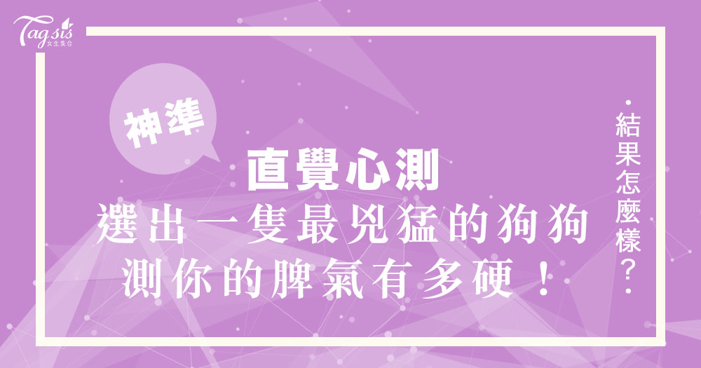 超準心測!選出一隻最兇猛的狗狗 ~ 測出你的脾氣到底有多硬!