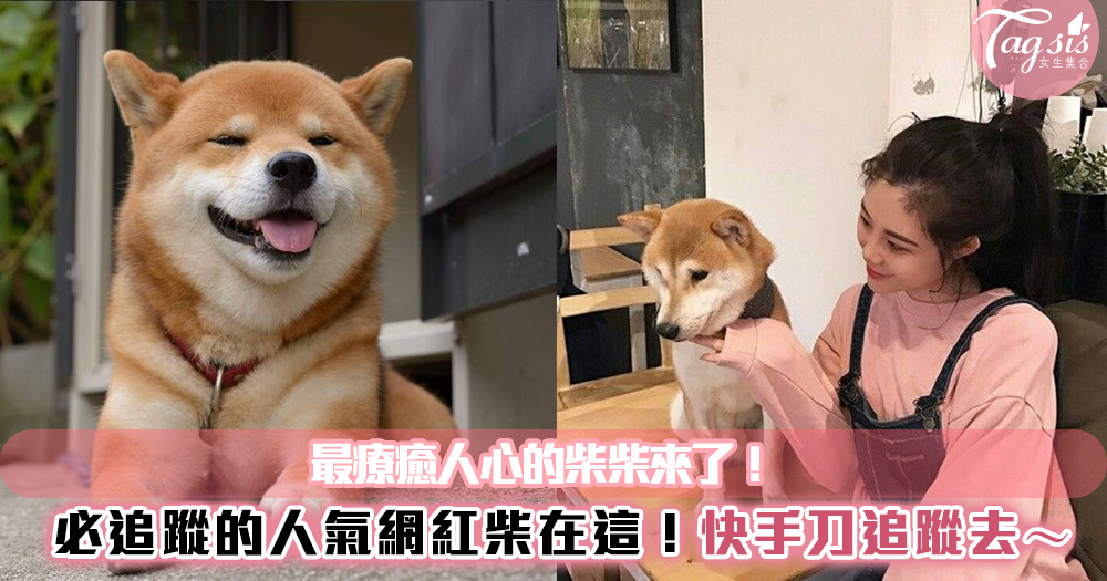 每個都有破萬追蹤數!超撫慰人心的柴柴在這~柴犬控必追蹤的三個IG帳號!