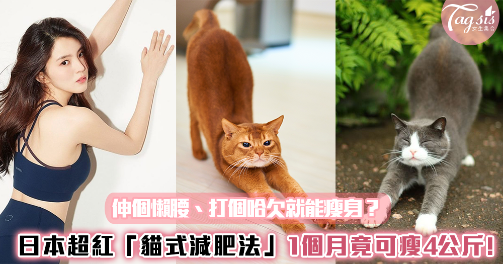伸個懶腰、打個哈欠就能瘦身？日本超紅「貓式減肥法」1個月竟可瘦4公斤!