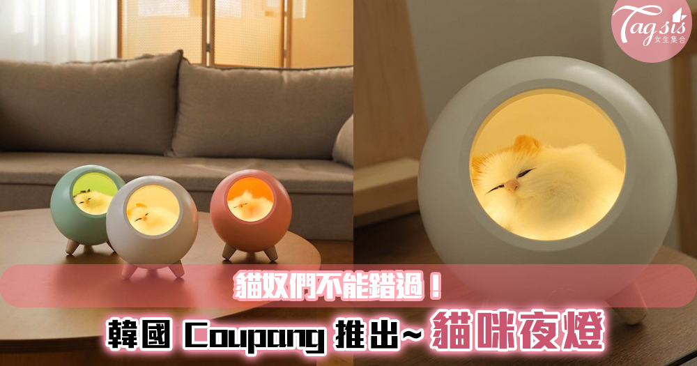貓奴們不能錯過！韓國 Coupang 推出超療癒「貓咪夜燈」~每晚陪著你！