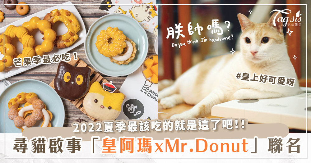皇阿瑪駕到！「Mr.Donut x 黃阿瑪」聯名周邊、甜甜圈來襲～後宮娘娘們全到齊來吃甜甜圈！