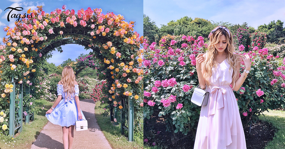 夢幻玫瑰園~在初夏盛放中，隨便拍拍都很美，少女心要爆發了！