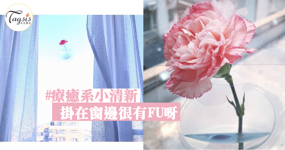 就算沒有好天氣都有好心情～療癒系小清新花花擺設，掛在窗邊很有FU呀～
