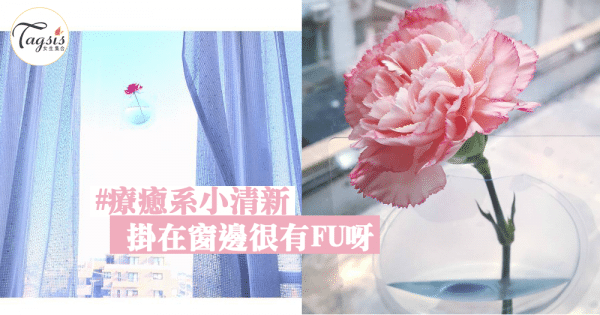 就算沒有好天氣都有好心情～療癒系小清新花花擺設，掛在窗邊很有FU呀～