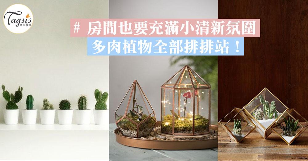 連房間也要充滿小清新氛圍～多肉植物全部排排站！心靈都被小擺設治癒了呢～  