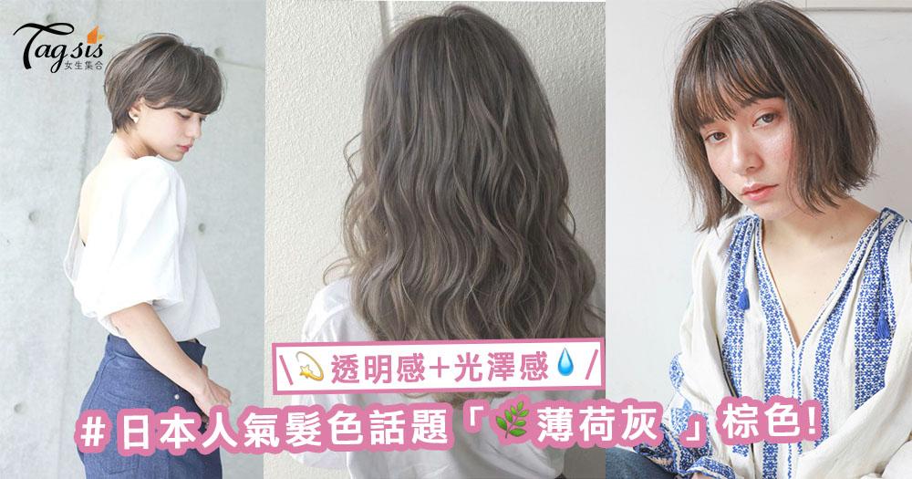 日本人氣髮色話題「薄荷灰 」棕色，透明感同時富有光澤魅力的日系髮色！