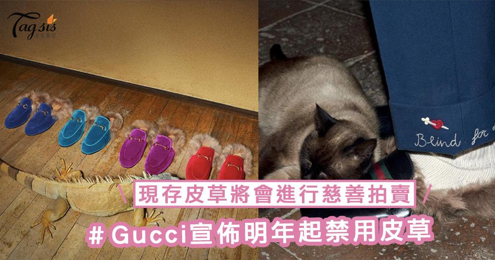Gucci宣佈明年起禁用皮草！旗下現存皮草商品將會進行慈善拍賣，收益將捐贈動物權益組織及人權協會！