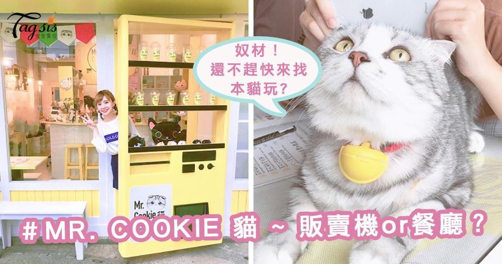這是販賣機？還是餐廳？「MR. COOKIE 貓」～超萌店貓，正在等你跟牠玩喔！