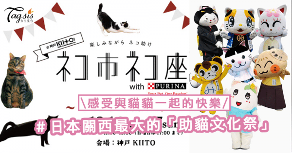 最愛喵星人！日本關西最大的「助貓文化祭」，感受與貓貓一起的快樂〜