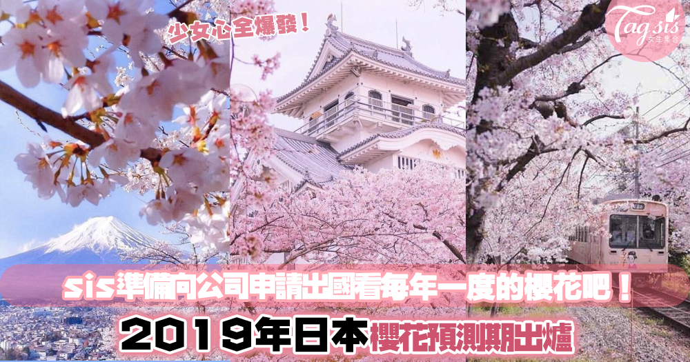 「2019年日本櫻花期預測出爐啦！」sis準備申請假期出國看櫻花啊！最早開花是……