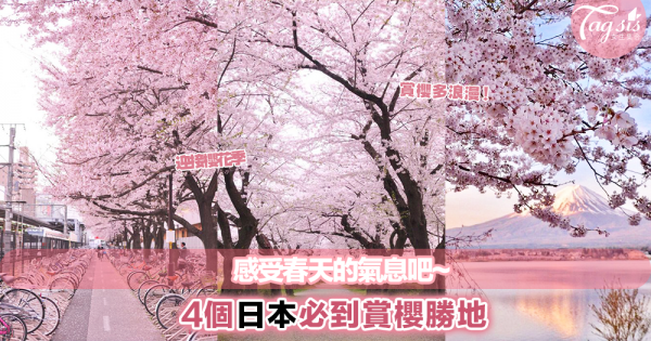 櫻花季盛開！4個日本必到賞櫻勝地，去感受春天的氣息吧〜