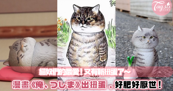 貓奴們要融化了～日本貓咪漫畫推出實體扭蛋，圓滾滾的胖貓日常就是這樣！主人超有同感～