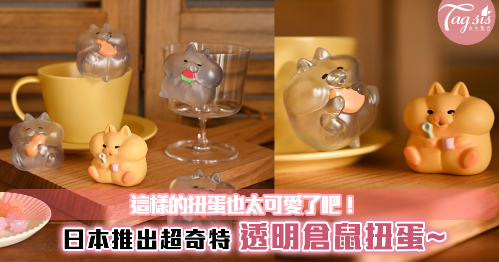這樣的扭蛋也太可愛了吧！日本推出超奇特的「透明泡泡球倉鼠」扭蛋~