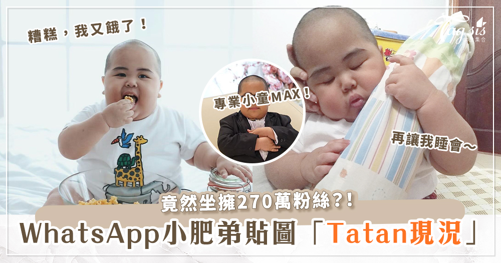 年紀最小網紅「可愛Tatan小肥仔」近況釋出！他的GIF、表情包你肯定用過～