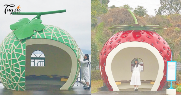 要吃巨型又好看的「水果」嗎？長崎「國道207號」一覽可愛的「水果巴士站」〜SIS快去這個打卡熱點吧！